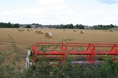 Martin's Farm fields off Ashlawn Road