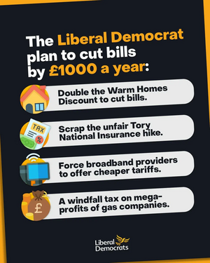 LD plan to cut bills by £100 per year.